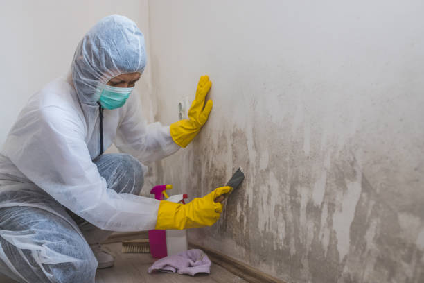 Best Crawl Space Mold Remediation in Chelsea, OK